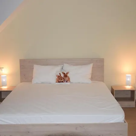 Διαμέρισμα Zlati's House 1