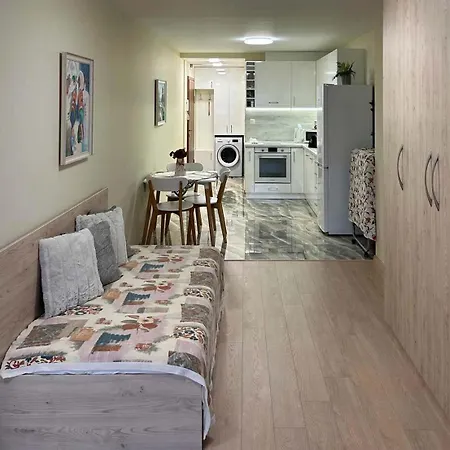 Zlati's House 1 公寓 *