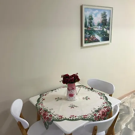 公寓 Zlati's House 1